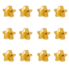 2MM Star 24K Pure Gold Plated Piercing Ear Stud (12 Pair)